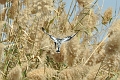 2000 01 01_6863_edited-1